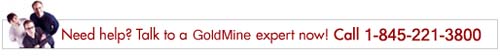 Need Help? Talk to a GoldMine Expert Now! Call 845 221 3800